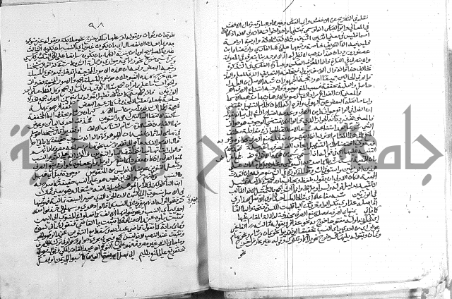 كتاب في اللغة العربية