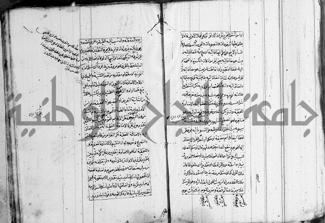 فوائد على الكافية 