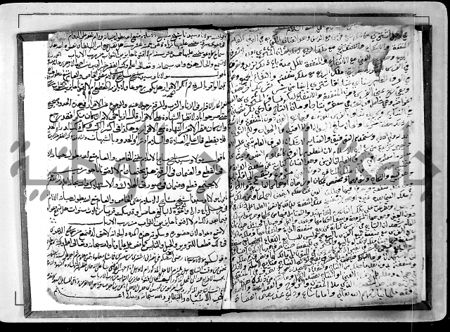 الفتاوى الامينية