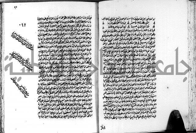 الجواهر الدورية في تنقيح الفتاوى الحامدية ج2 