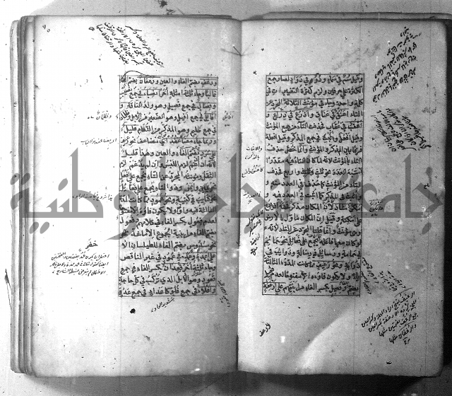 شرح الشافية 