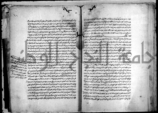 نهاية المحتاج الى شرح النهاج 2