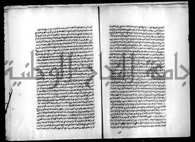 مجهول فقة 55