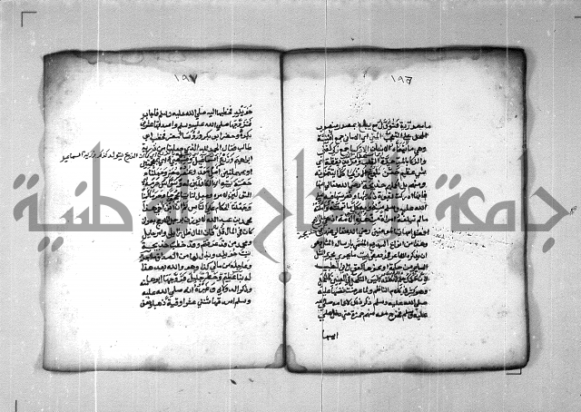 شرح الهمزية  