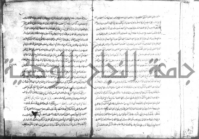منية الفتى 