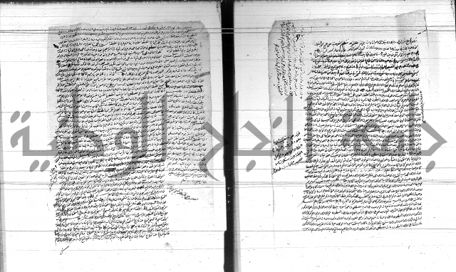 الفتاوى الحسينية