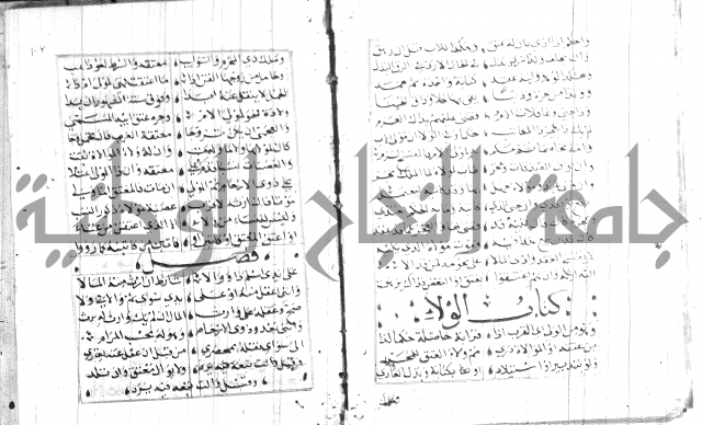 نظم كنز الدقائق