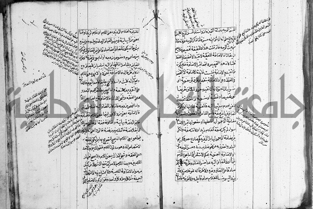 فوائد على الكافية 