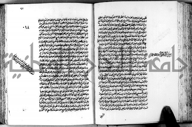 الجواهر الدورية في تنقيح الفتاوى الحامدية ج2 