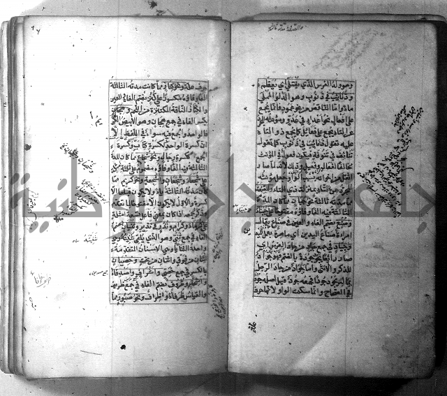 شرح الشافية 