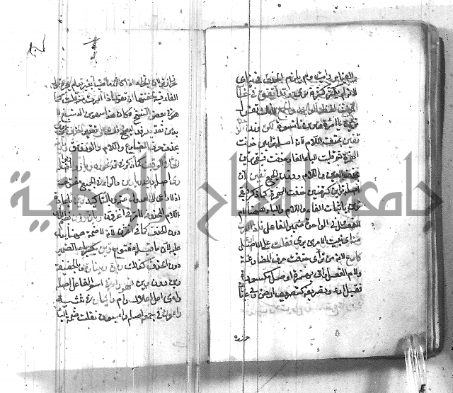 التفنن في الصرف