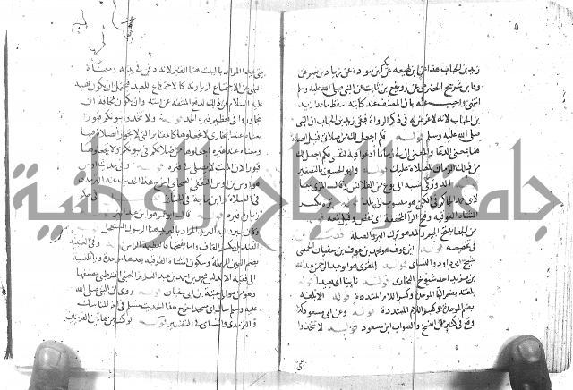 مذيل الشفا