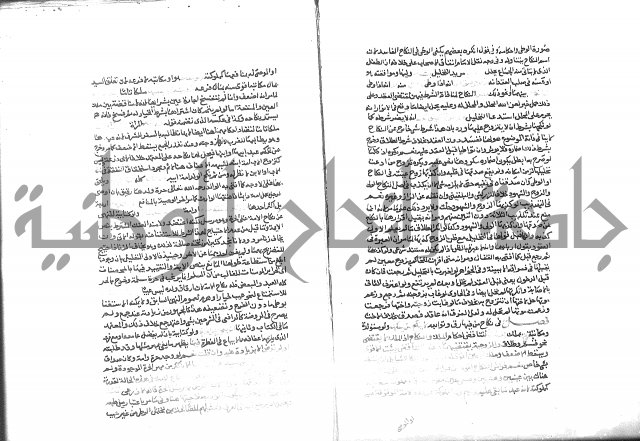 شرح الرملي 3