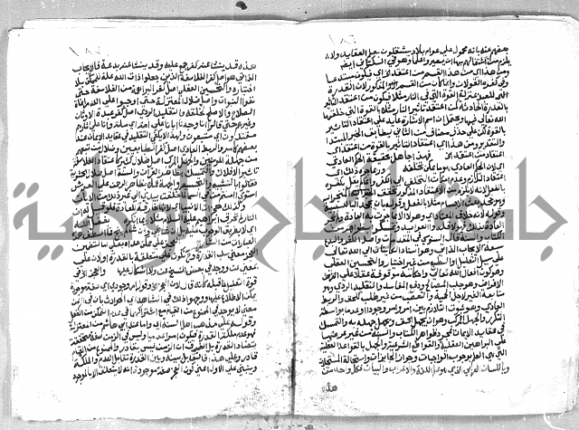 الهدهدي 