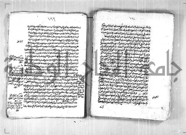فتح الجليل  على شرح ابن عقيل 