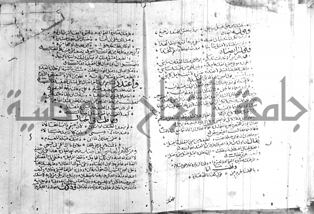 شرح لامية العجم 