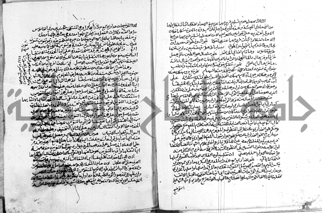 كتاب في اللغة العربية