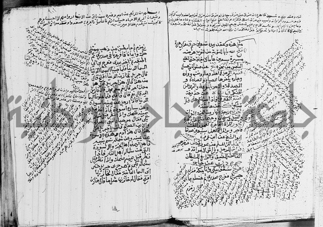 الجامع الصغير