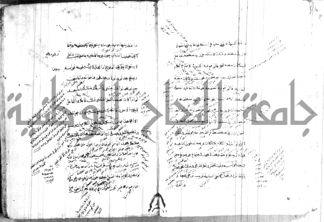 ضوء في علم النحو