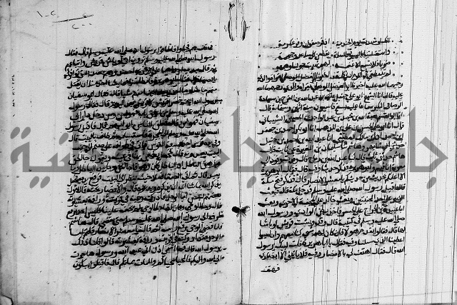 السيرة النبوية