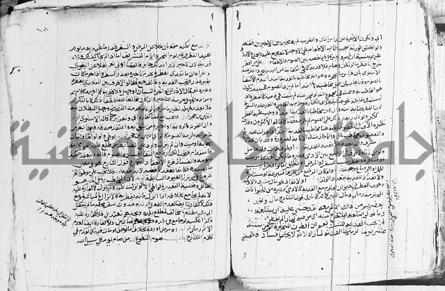 الزيادي على المنهج 