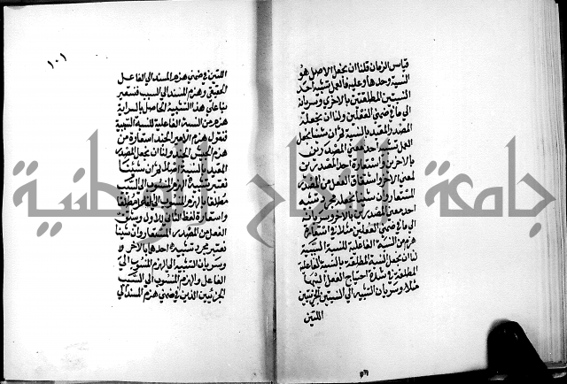 الرسالة البيانية