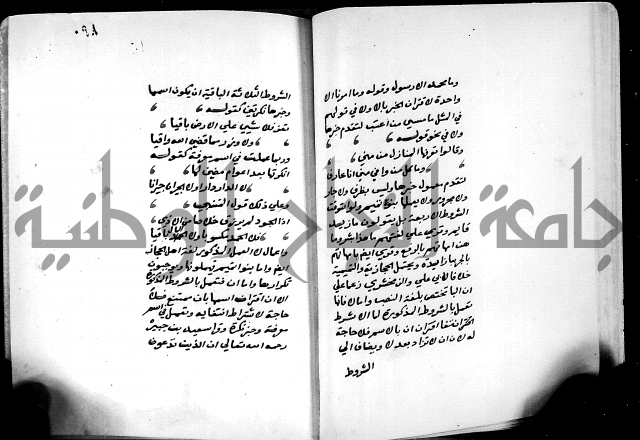 شرح شذور الذهب في معرفة كلام العرب 