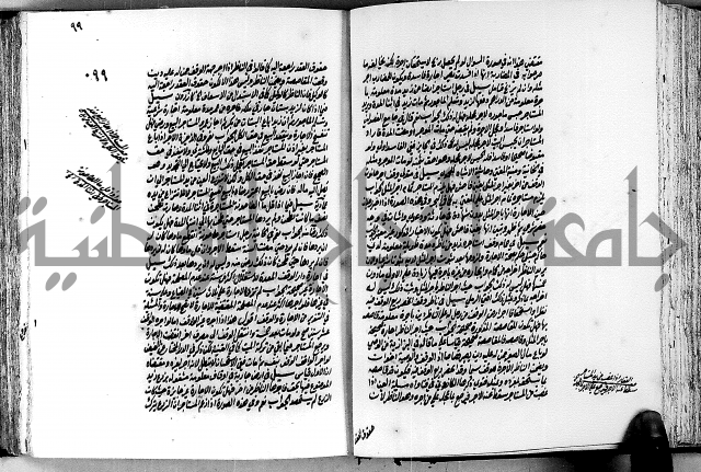 الجواهر الدورية في تنقيح الفتاوى الحامدية ج2 