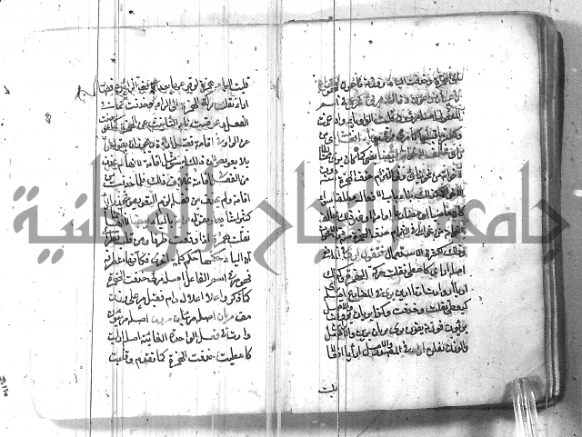 التفنن في الصرف