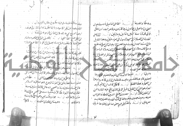 مذيل الشفا
