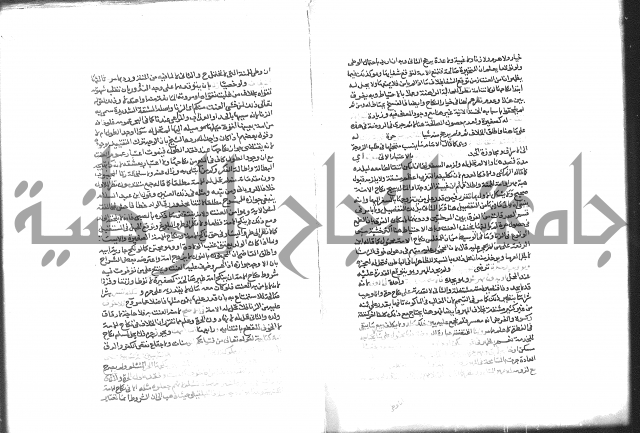 شرح الرملي 3