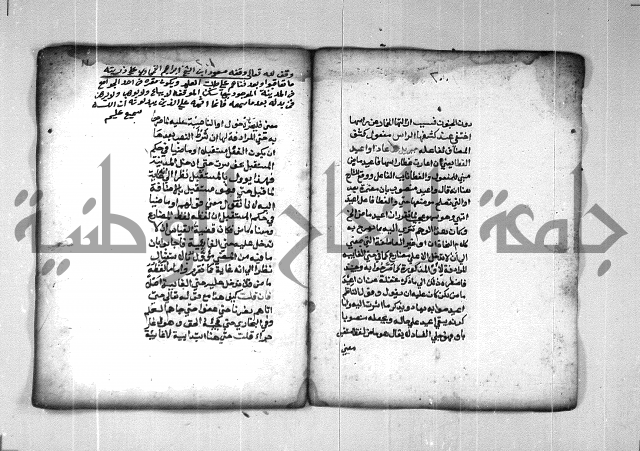 شرح الهمزية  