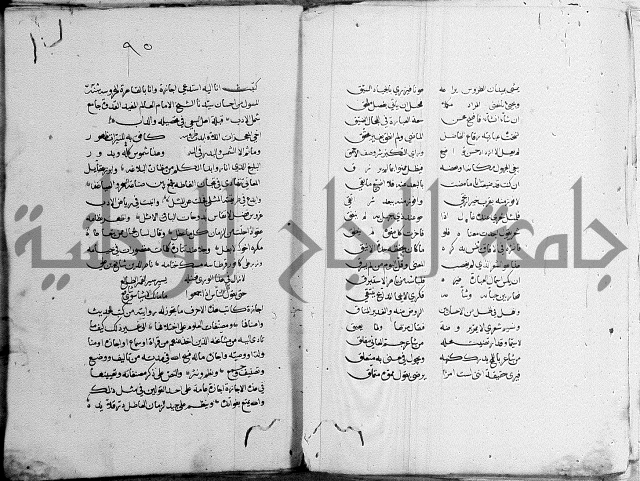 كتاب في الادب 