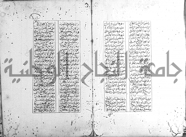 خلاصة التنوير 