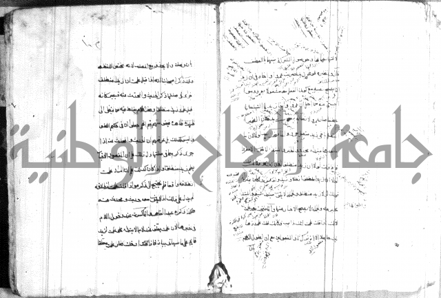 ضوء في علم النحو