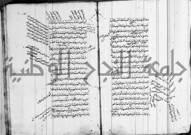 فوائد على الكافية 