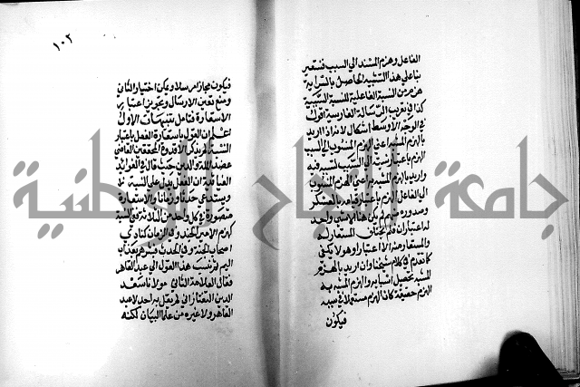 الرسالة البيانية