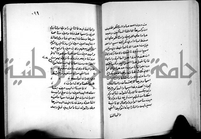 شرح شذور الذهب في معرفة كلام العرب 