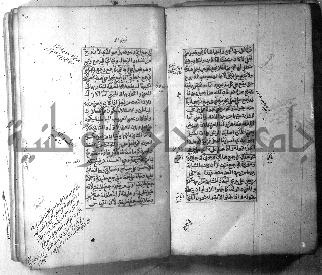 شرح الشافية 