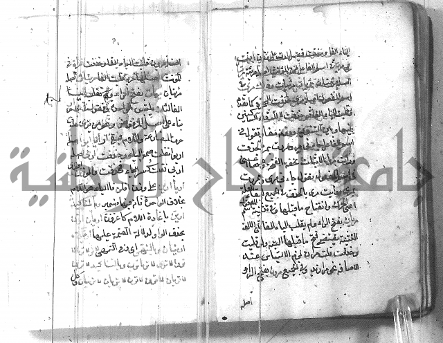 التفنن في الصرف