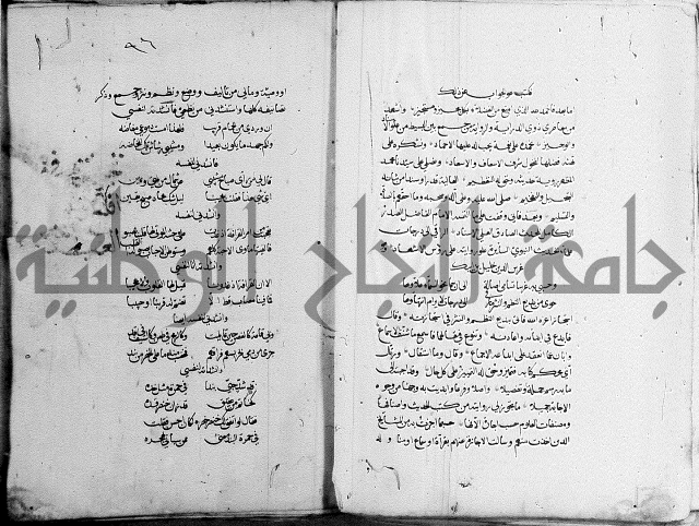 كتاب في الادب 