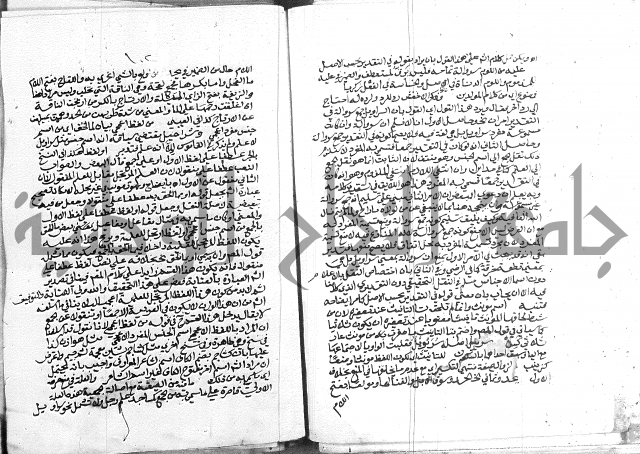 كتاب في اللغة العربية