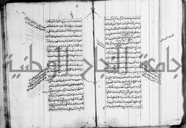 فوائد على الكافية 