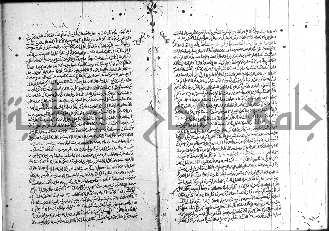 سيبويه 