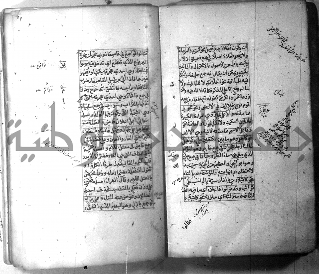 شرح الشافية 