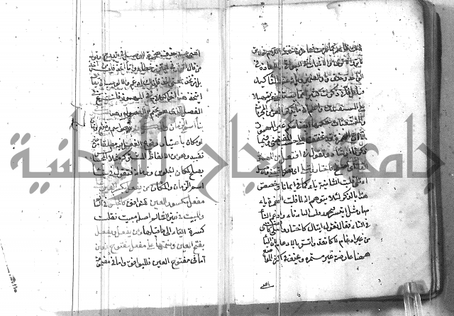 التفنن في الصرف