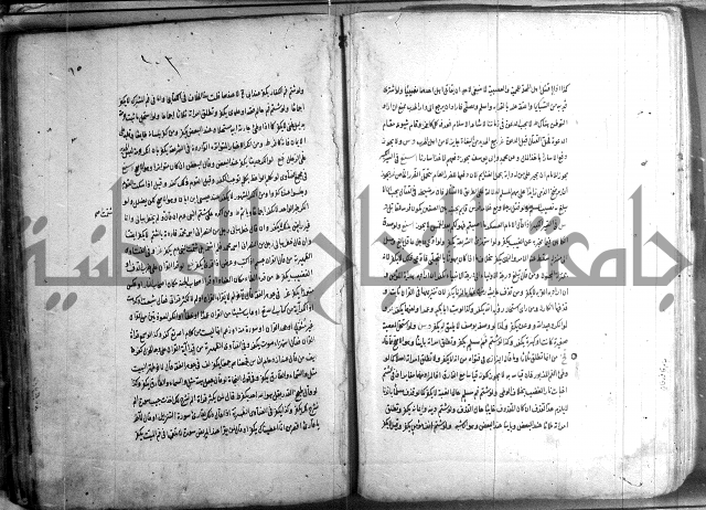 حاوي مسايل المنيه