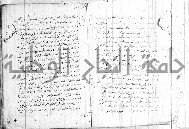 الفتاوى الولوالجية  