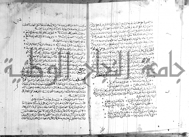 شرح لامية العجم 