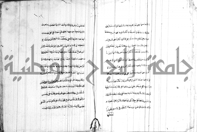 ضوء في علم النحو